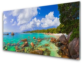 Quadro vetro acrilico Paesaggio della spiaggia del mare 100x50 cm