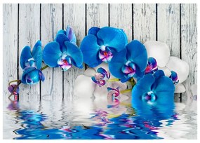 Fotomurale  Orchidea cobalto  Colore Blu, Dimensioni e Misure 150x105