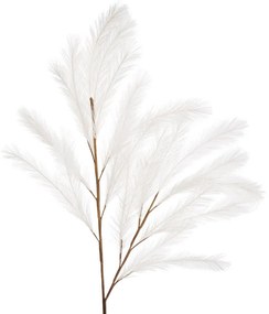 L'OCANERA pampas bianco h 113