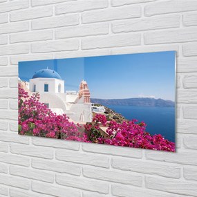 Quadro acrilico Edifici marini dei fiori della Grecia 100x50 cm