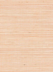 Élitis Tapete Sisal Métallique - RM 1073 50