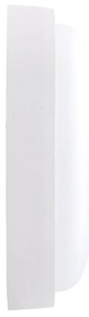 Plafoniera LED da Esterno 15W IP65 Ovale CCT - Bianco Variabile
