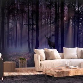 Fotomurale adesivo  Mystical Forest  Second Variant  Larghezza x Altezza Home decor 441x315