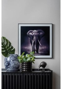 Dipinto 50x50 cm Elephant - PT LIVING