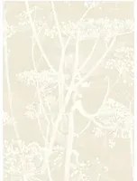 Cow Parsley - Designtapete von Cole & Son - Linen on White