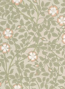 Little Greene Carta da parati Briar Rose - Green Mist