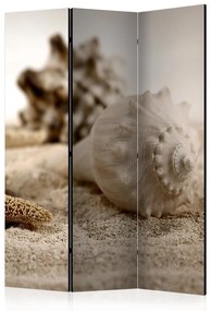 Paravento  Beach and shell [Room Dividers]  Colore Beige, Dimensioni e Misure 135x172