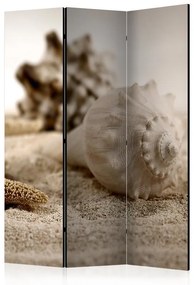 Paravento Beach and shell [Room Dividers]