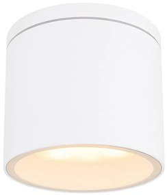 Globo 32063W - Plafoniera da esterno ALCALA 1xGX53/11W/230V IP44