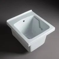 Lavatoio in ceramica bianca 51x45 cm con foro troppo pieno. Senza strizzatoio