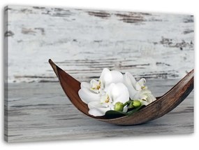 Quadro su tela, Fiori Orchidea Legno Zen Spa  Dimensioni Tappeti 120x80