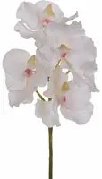 Set 3 Orchidea Artificiali Vanda Altezza 62 cm