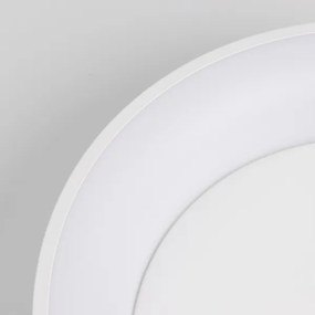 Brilagi - Plafoniera LED dimmerabile FALCON LED/40W/230V 3000-6500K + tc