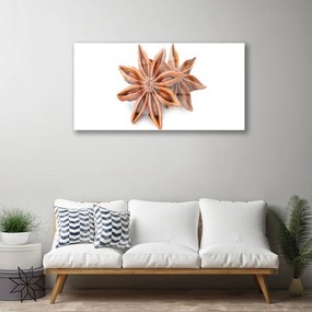 Quadro su vetro Spezia all'anice stellato 100x50 cm 2 appendini