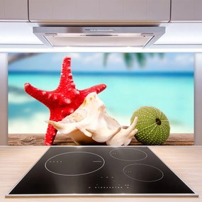 Pannello retrocucina Conchiglia Stella Marina Art 125x50 cm