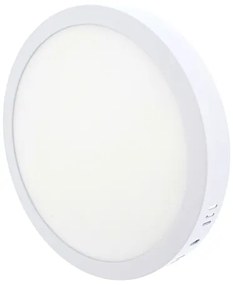 Plafoniera LED LED/18W/230V 4200K diametro 21 cm bianco