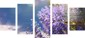Quadri 5 pezzi – Giardino di lavanda