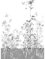 Edmond Petit Carta da parati Lièvres/Fenouil/Tournesol - Gris - Tournesol Droit - Gris