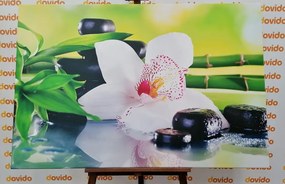 Quadro su tela – Orchidea giapponese