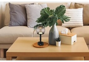 Globo 21034S - LED Lampada da tavolo ricaricabile HAKU LED/2,5W/5V 2700/4000/6500K nero