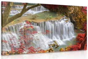 Stampa su tela – Cascata nella foresta