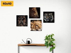 Set di quadri – Animali selvatici