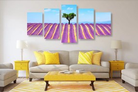 Quadri 5 pezzi – Campo di lavanda provenzale