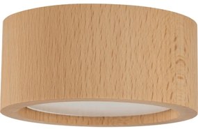 Faretto EVE 1xGX53/11W/230V faggio