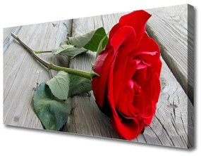 Foto quadro su tela Fiori di rose 100x50 cm