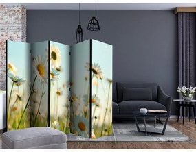 Paravento Daisies spring meadow II [Room Dividers]