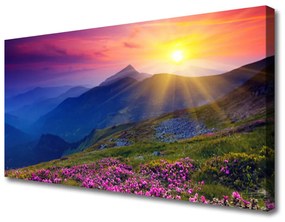Quadro su tela Paesaggio del prato di montagna del fiore 100x50 cm