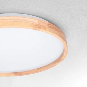 Brilagi - Plafoniera a LED ALSON LED/24W/230V rovere