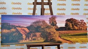 Stampa su tela – Paesaggio rurale