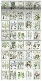 Carta da parati Libro verde, bianco, 53 cm x 9 m