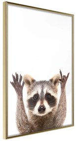 Poster  Funny Racoon  Cornice Quadri Cornice d'oro, Larghezza x Altezza Home decor 20x30