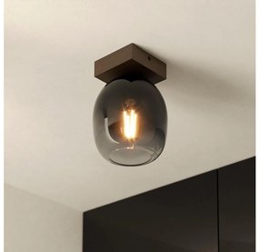 Eglo 900825 - Plafoniera FILAGO 1xE27/40W/230V