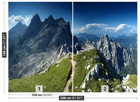 Carta da parati Alpi Slovenia 104x70 cm