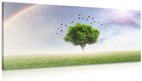 Stampa su tela – Albero solitario nel prato