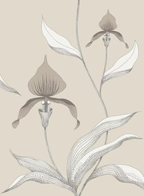 Cole & Son Tapete Orchid - Linen on White