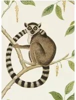 Tapete Ringtailed Lemur von Sanderson - Cream/ Olive