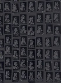 Mindthegap Carta da parati Emperors - WP20415