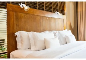 Globo 54802WK - Applique con clip XARA I 1xE14/40W/230V bianco