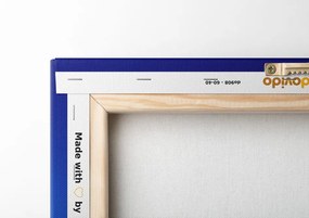 Quadro su tela – Torre Eiffel di notte