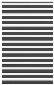 Tenda A Rullo Zebra Nero Larghezza Tessuto 135,9 Cm Poliestere /
