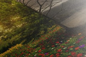 Stampa su tela – Due aspetti dell'albero