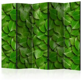 Paravento  Secret Garden II [Room Dividers]  Colore ---, Dimensioni e Misure 225x172