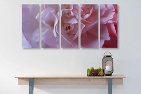 Quadri 5 pezzi – Petali di garofano