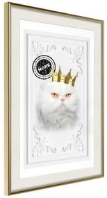 Poster  Cat Rules II  Cornice Quadri Cornice d'oro con passe-partout, Larghezza x Altezza Home decor 20x30