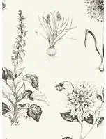 Clarke & Clarke Carta da parati Roseraie - Charcoal
