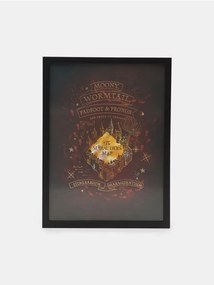 Sinsay - Poster Harry Potter - nero